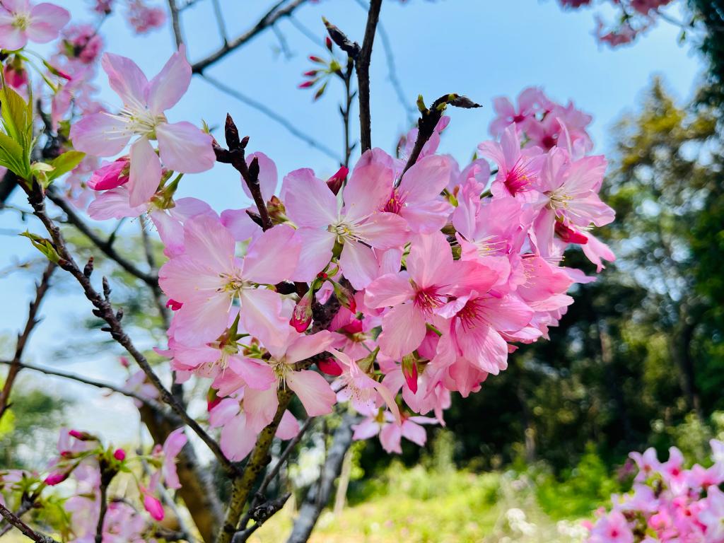 taptap点点官方网站