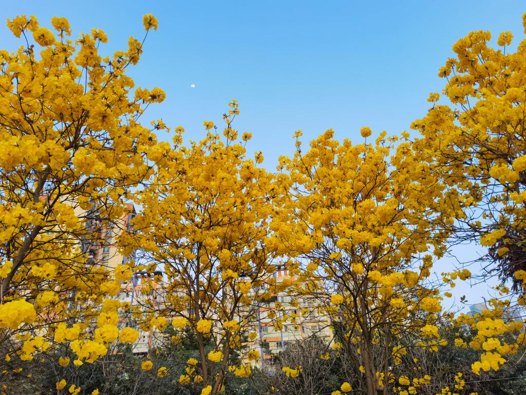 taptap点点官方网站